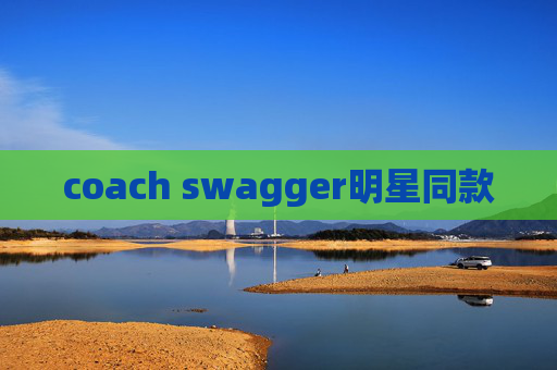 coach swagger明星同款
